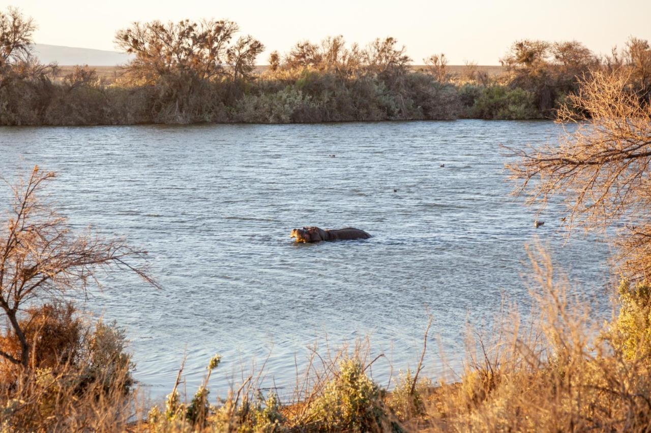 Breede River Inverdoorn Game Reserve Lodge מראה חיצוני תמונה
