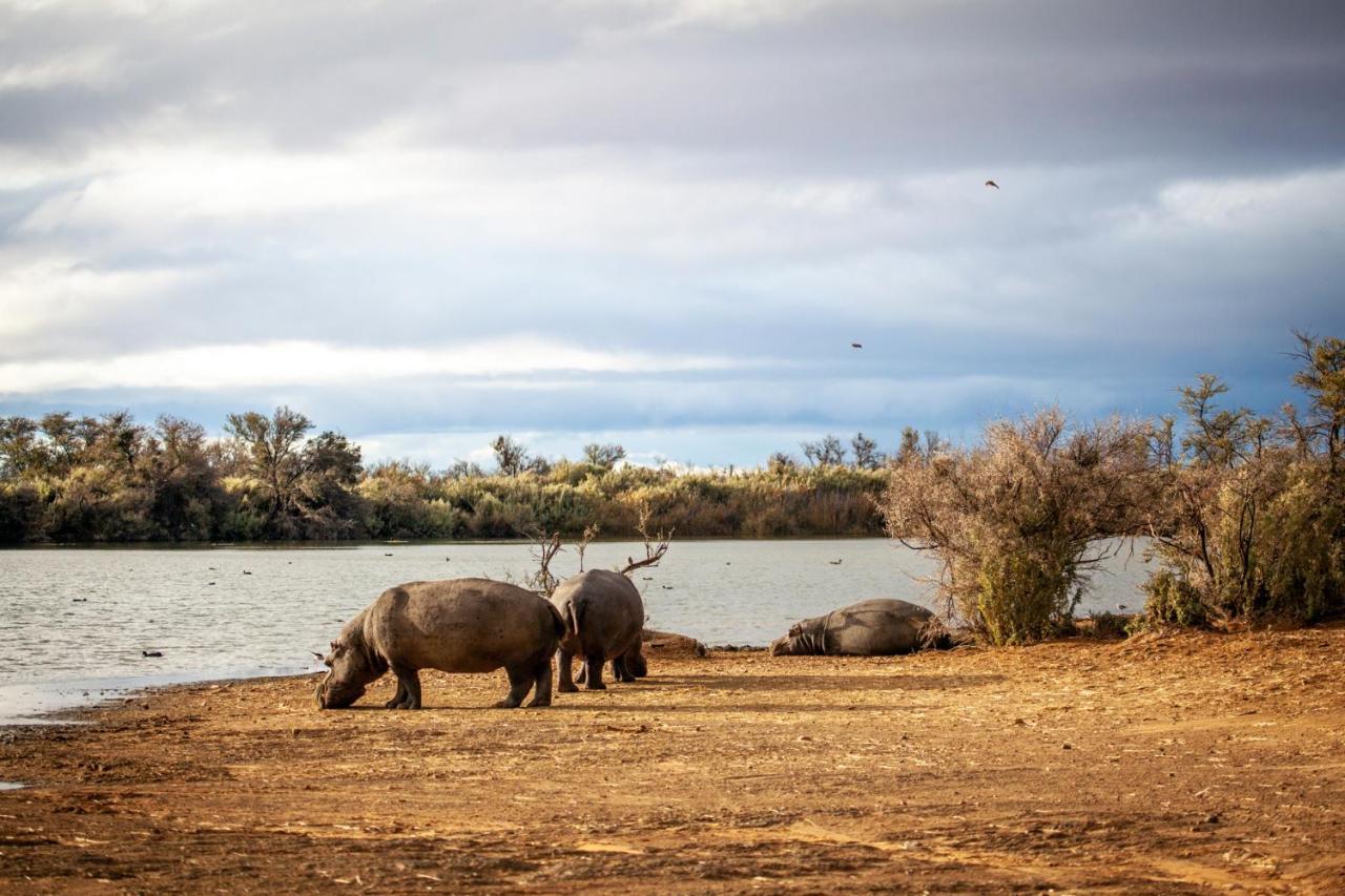 Breede River Inverdoorn Game Reserve Lodge מראה חיצוני תמונה