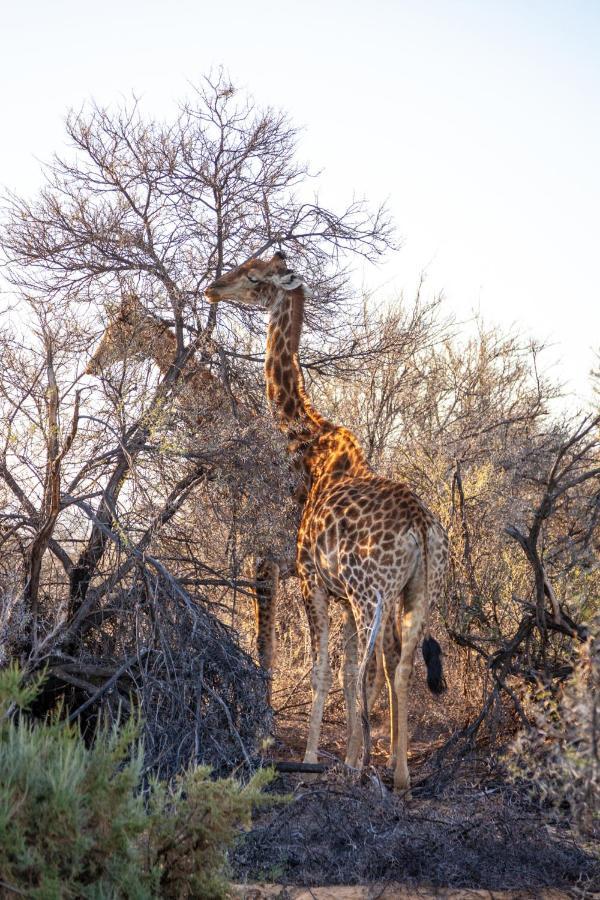 Breede River Inverdoorn Game Reserve Lodge מראה חיצוני תמונה