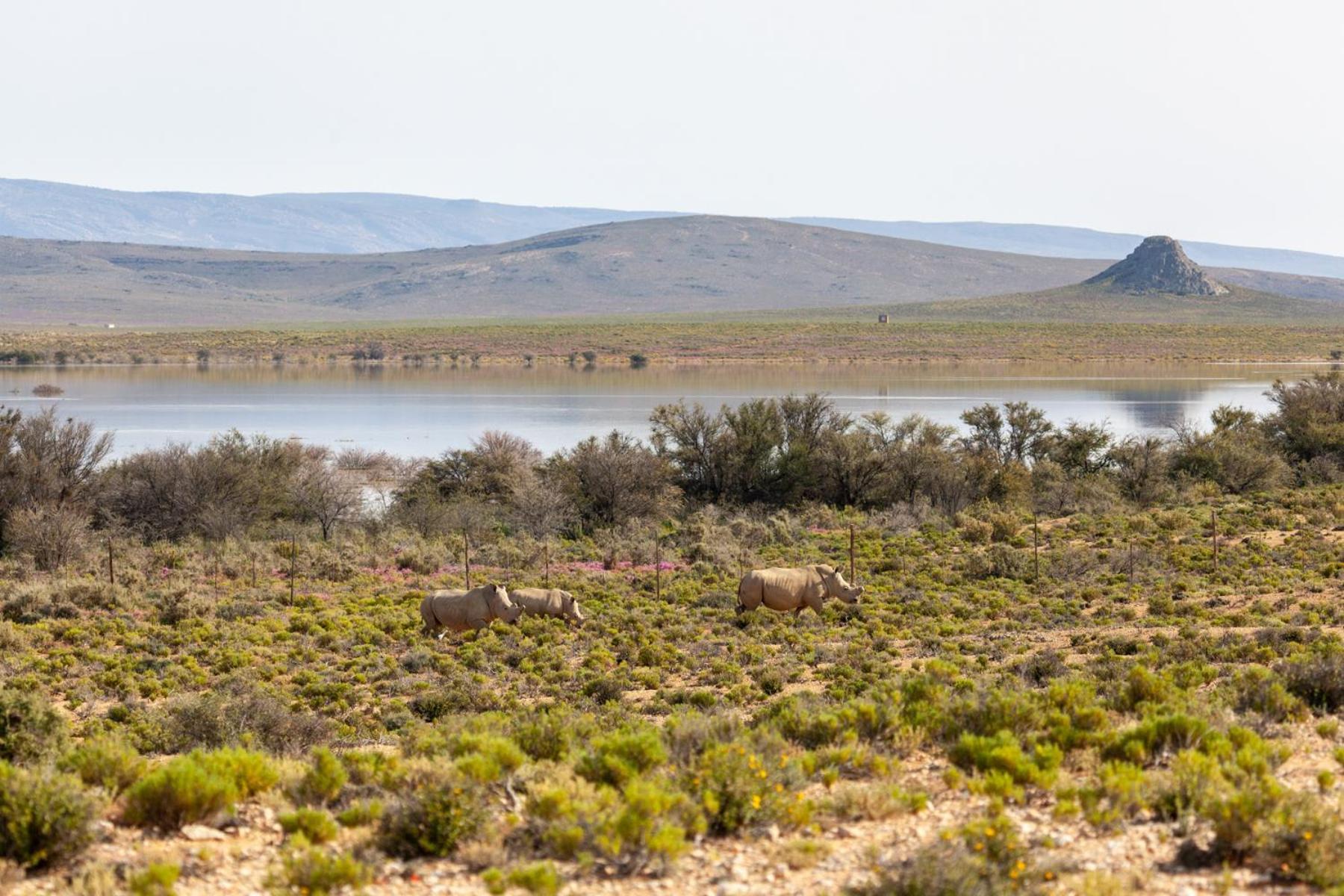 Breede River Inverdoorn Game Reserve Lodge מראה חיצוני תמונה